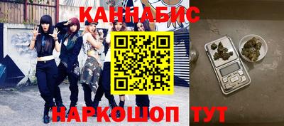 СК Бердск