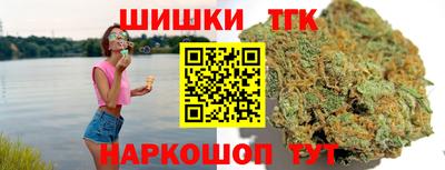 СК Бердск