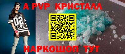 СК Бердск