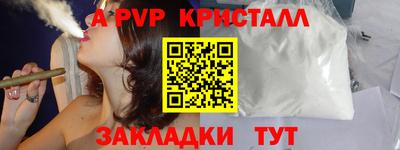 СК Бердск