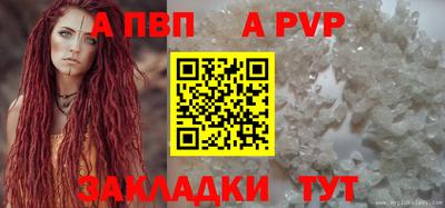 СК Бердск