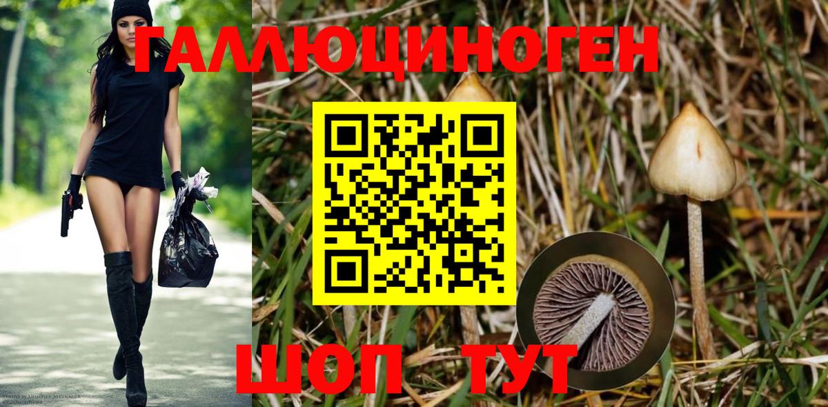 АМФЕТАМИН Архангельск